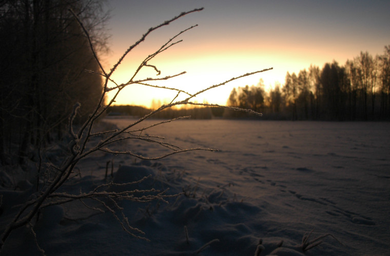 Tutjunniemi (Kuva: Lassi Matilainen)