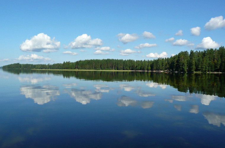 Viuruniemen Pitkäniemi Juojärveltä kuvattuna. Kuvaaja: Jussi Kaksonen