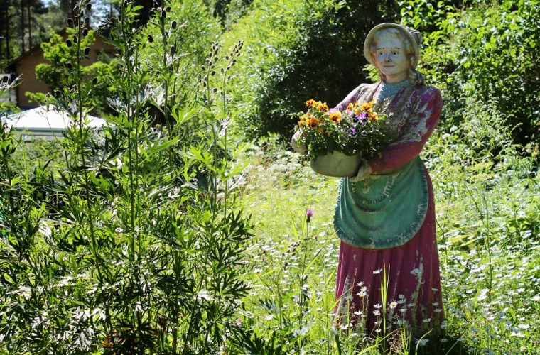 Nukke opastaa Pankakosken Nukketalolle (Kuva: Tanja Rajantaus)