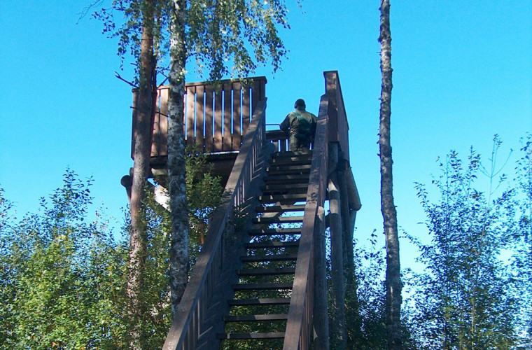 Saramon Suojärven lintutorni. Kuvaaja: Reeta Rönkkö