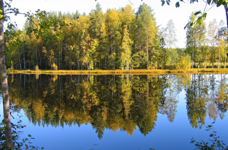 Likolampi syksyllä (Kuva: Sisko Kulmala)