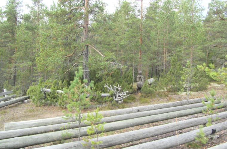Solan metsäkirkko
