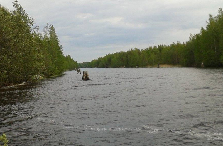 Höytiäisen kanava (kuva: Emmi Alho)
