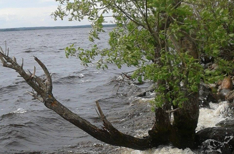 Näkymä höytiäisen kanavalta (kuva: Emmi Alho)