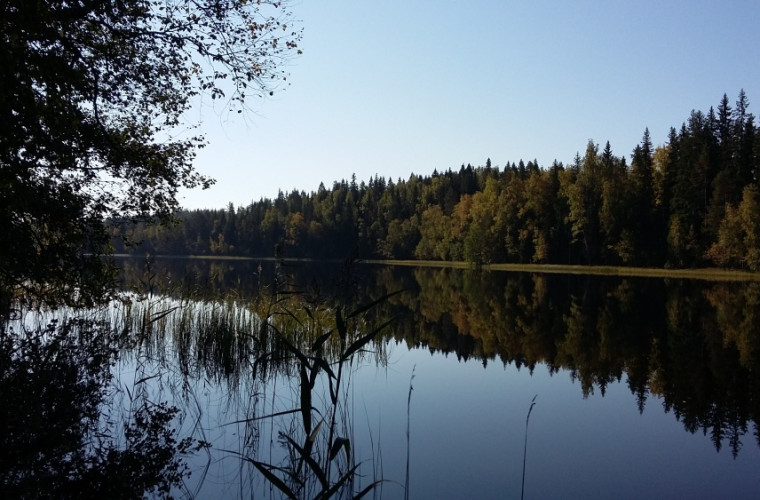 Lammenselkä Kalattoman laavulta. Kuva: Anne Sirainen.