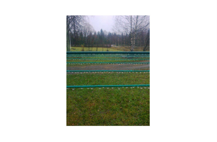 Kevätkosteutta. Kuva: Aino Stranden-Sorvisto.