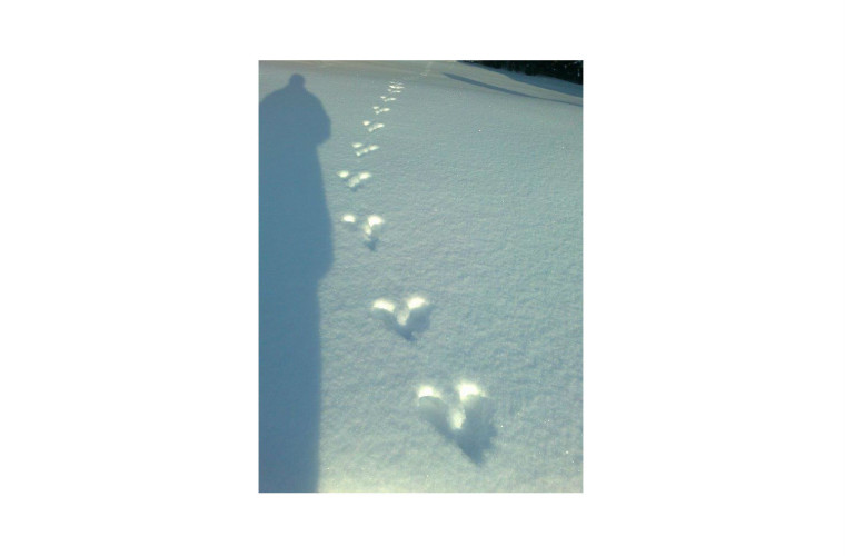 Maaliskuun valo 1. Kuva Aino Stranden-Sorvisto.