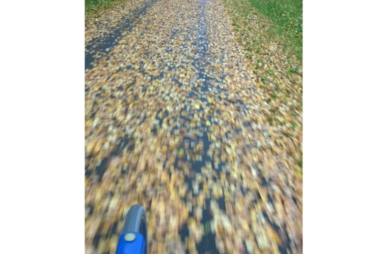 Syksyinen pyöräretki. Kuva: Margareta Ryden-Kortelainen.