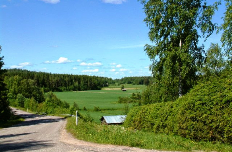 Kuva: Merja Kärkkäinen