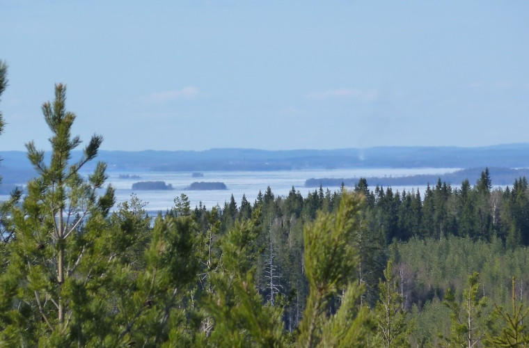 Maisema näkötornista
(Kuva: Tapio Vartiainen)