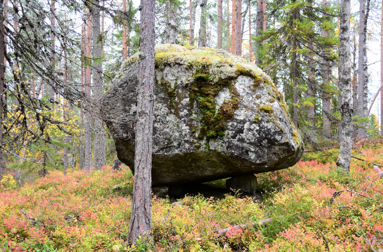 Kuva: Lahja Toivanen