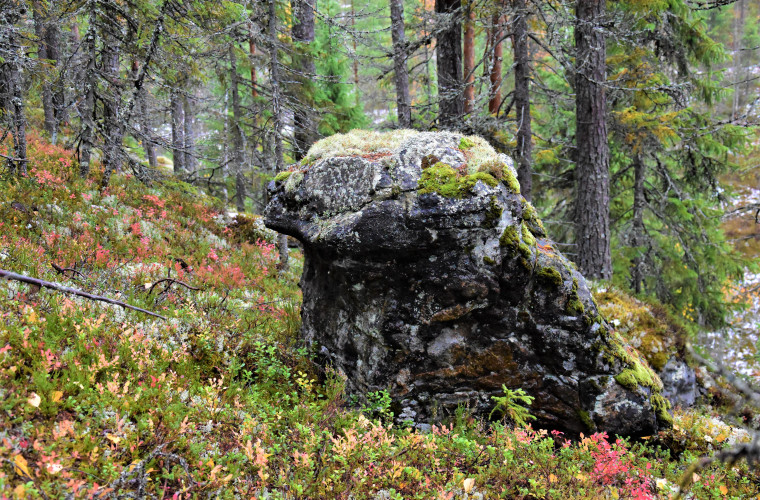 Kuva: Lahja Toivanen