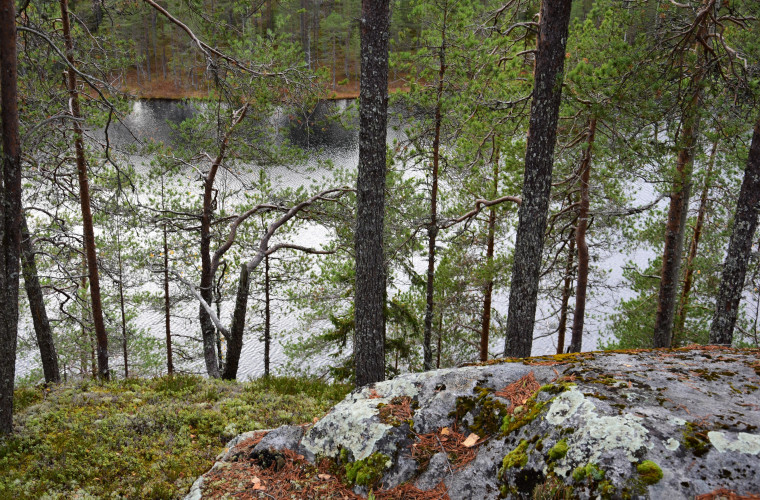 Kuva: Lahja Toivanen