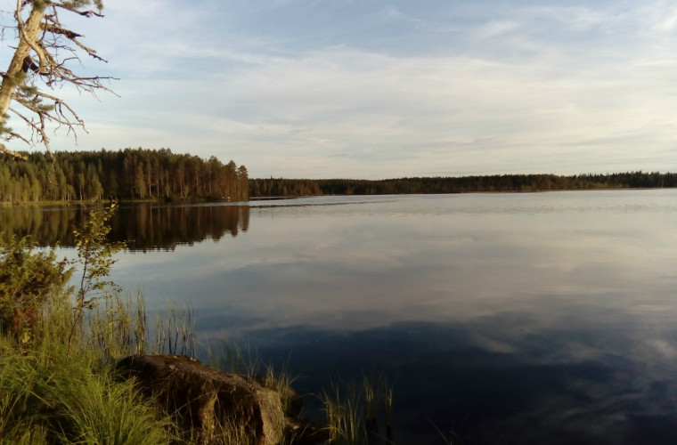 Sivakkajärvi. Kuva: Marjo-Riina Häkkinen