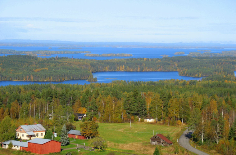 Pyytivaaran laelta. Kuva: Maire Turunen.