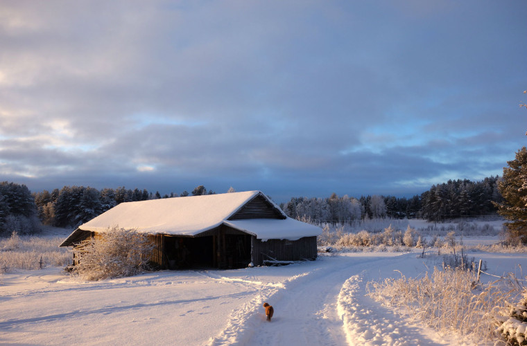 Talvipäivä, Viuruniemi Kaksola. Kuva: Maaret Kaksonen. 